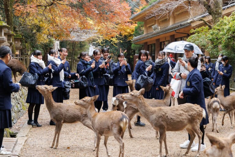 修学旅行に行ってまいりました